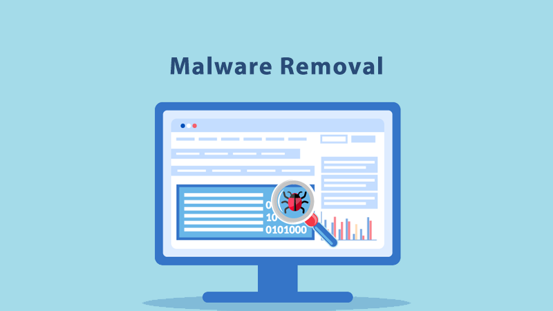 Malware Removal Service